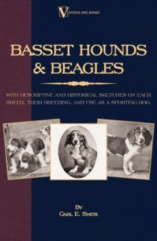 Image for Basset Hounds & Beagles - With Descriptive And Historical Sketches On Each Breed, Their Breeding, And Use As A Sporting Dog (A Vintage Dog Books Breed Classic).