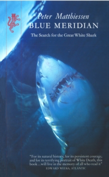 Image for Blue meridean: search for the great white shark