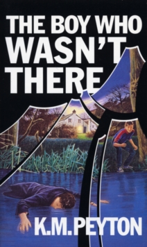 Image for The boy who wasn't there.