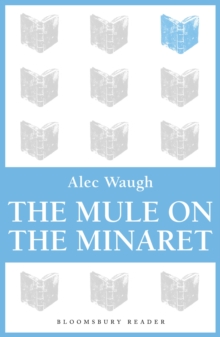 Image for The mule on the minaret: a novel about the Middle East