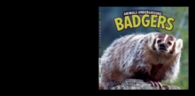 Image for Badgers