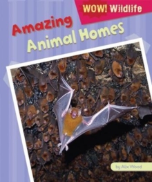 Image for Amazing Animal Homes