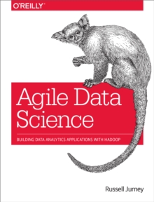 Image for Agile data science