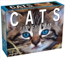 Image for Cats 2019 Mini Day-to-Day Calendar