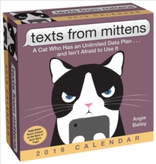 Image for Texts from Mittens the Cat 2019 Day-to-Day Calendar