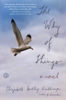 Image for Why of Things: A Novel