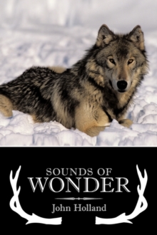 Image for Sounds of Wonder