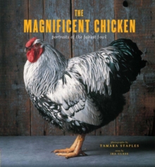 Image for The Magnificent Chicken