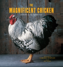 Image for The magnificent chicken: portraits of the fairest fowl