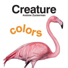 Image for Creature colors