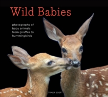 Image for Wild Babies: Photographs of Baby Animals from Giraffes to Hummingbirds