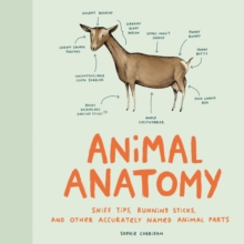 Image for Animal Anatomy