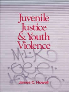 Image for Juvenile justice & youth violence