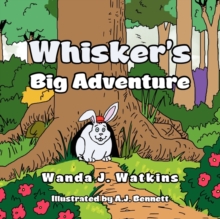 Image for Whisker's Big Adventure