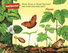Image for How Does a Seed Sprout?
