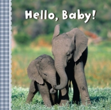Image for Hello, baby!