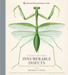 Innumerable Insects: The Story of the Most Diverse and Myriad Animals on Earth