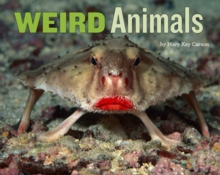 Weird Animals
