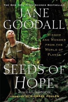 Image for Seeds of Hope