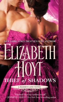 Image for Thief of Shadows