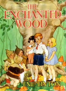 Image for The Enchanted Wood (Faraway Tree #1)