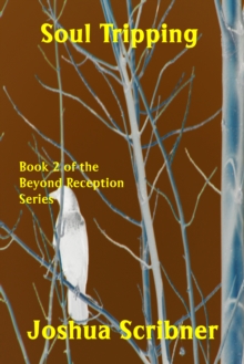 Image for Soul Tripping: Book 2 of the Beyond Reception Series