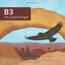 Image for B3 the Juvenile Eagle