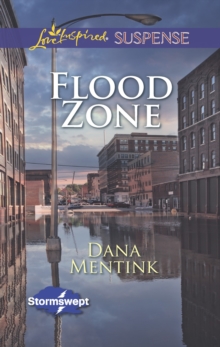 Image for Flood Zone
