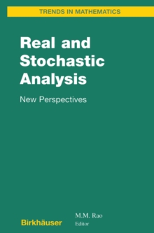 Image for Real and Stochastic Analysis: New Perspectives