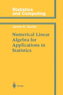 Image for Numerical Linear Algebra for Applications in Statistics