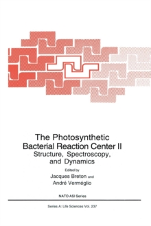 Image for The Photosynthetic Bacterial Reaction Center II