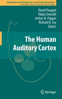 Image for The human auditory cortex