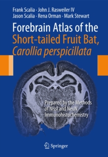 Image for Forebrain atlas of the short-tailed fruit bat, carollia perpicillata