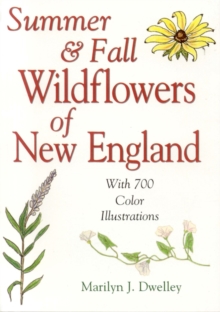 Image for Summer & fall wildflowers of New England