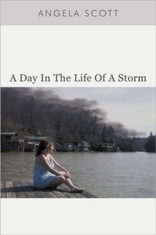 Image for A Day in the Life of a Storm