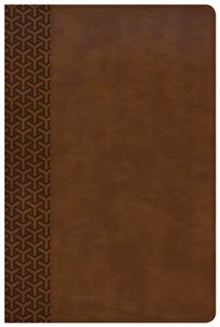 Image for CSB Everyday Study Bible, British Tan LeatherTouch