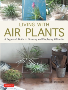 Image for Living With Air Plants: A Beginner's Guide to Growing and Displaying Tillandsia