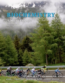 Image for Biochemistry  : a short course