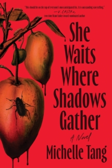 Image for She Waits Where Shadows Gather : A Novel