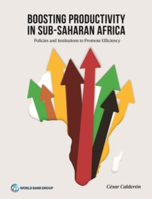 Boosting Productivity in Sub-Saharan Africa