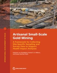 Image for Artisanal Small-Scale Gold Mining