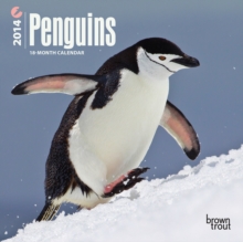 Image for Penguins 2014 Mini Calendar