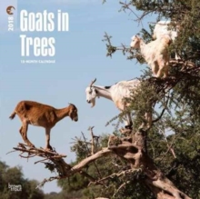 Image for Goats in Trees 2018 Wall Calendar