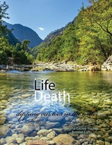 Life/Death: Dipping Our Toes in the Water