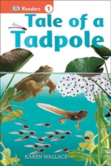 Image for DK READERS L1 TALE OF A TADPOLE