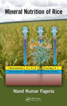 Image for Mineral nutrition of rice