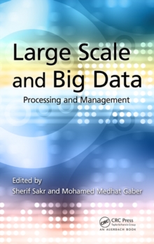 Image for Large scale and big data: processing and management