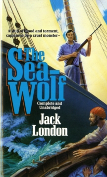 Image for The sea-wolf