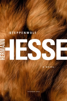 Image for Steppenwolf: a novel