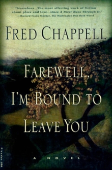 Image for Farewell, I'm Bound to Leave You: Stories